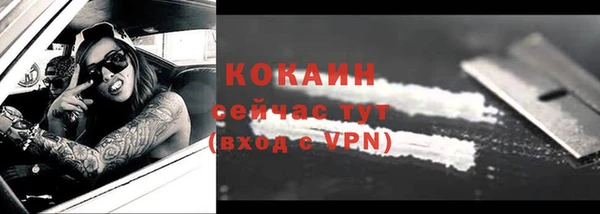 apvp Горняк
