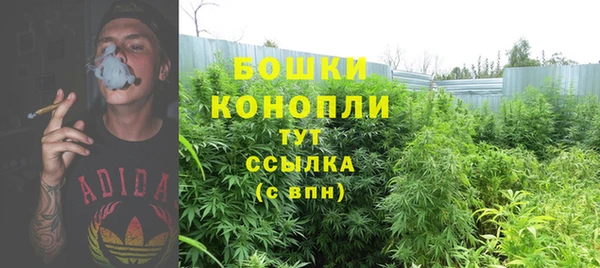 apvp Горняк