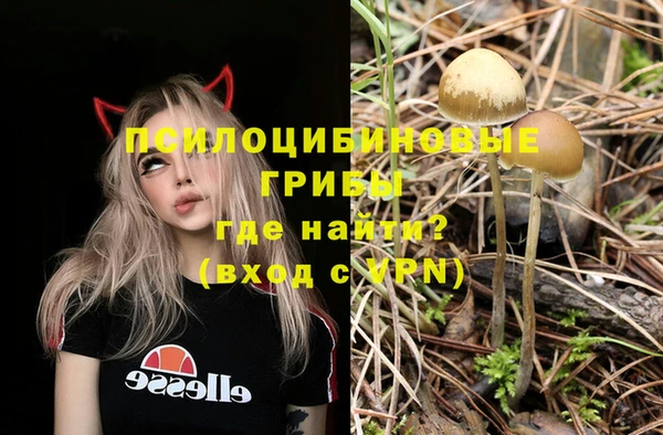 apvp Горняк