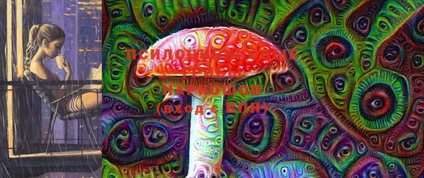 apvp Горняк